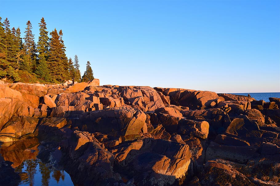 sunset, trees, rocks, pine trees, maine, nature, landscape HD wallpaper