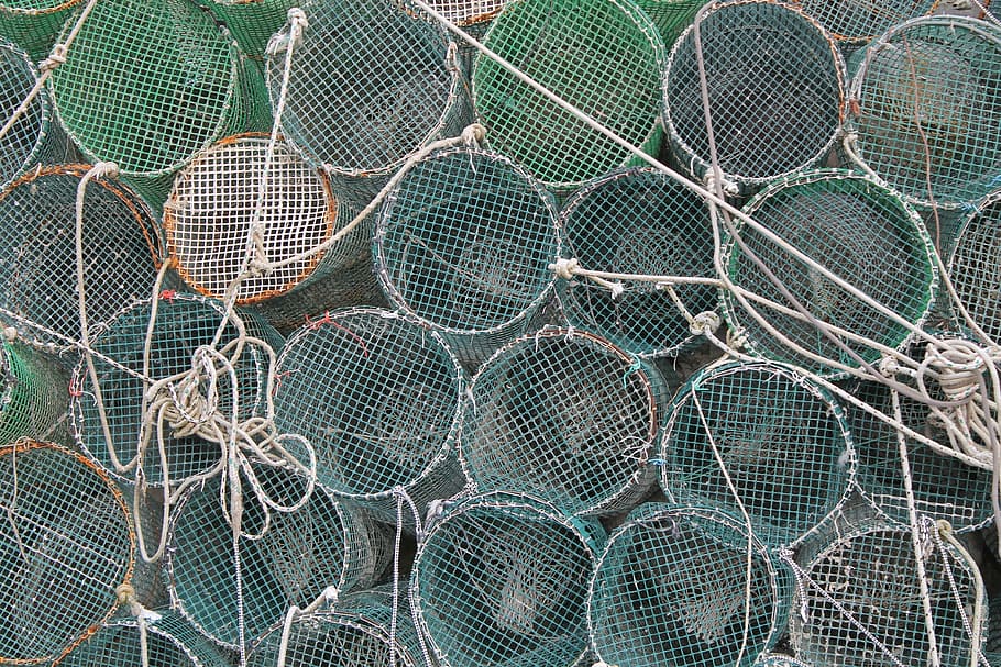 networks, fish, fishing, italy, mediterranean, fishing nets, HD wallpaper