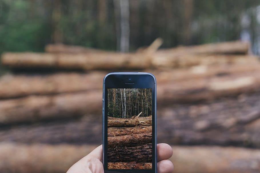forest, hands, iphone, nature, smartphone, taking photo, technology HD wallpaper