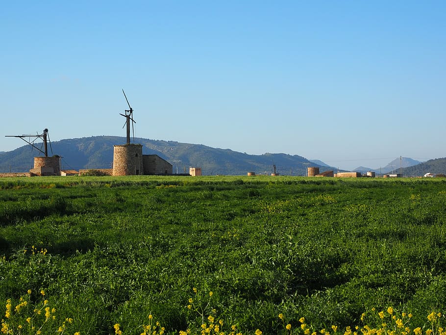 windmill, old, lapsed, ruin, mallorca, muro, wind energy, wing HD wallpaper