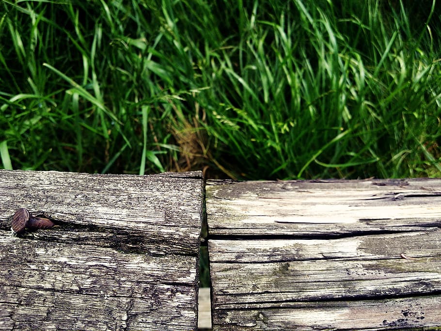 Wood, Grain, Tree, Structure, wood texture, tree grates, fence