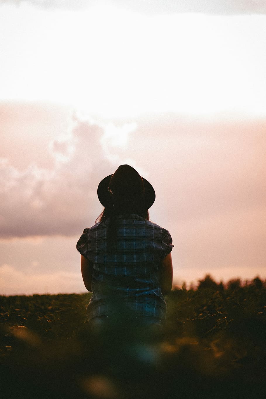 woman looking at the sky while standing near plants, woman wearing black cowboy hat HD wallpaper