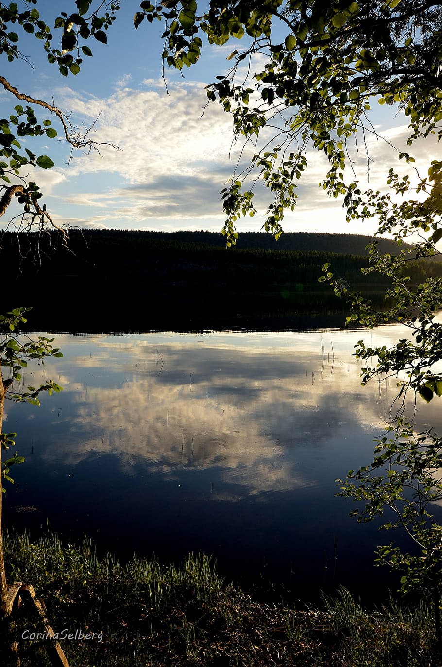 water, mirroring, lake, nature, reflection, outdoors, tree HD wallpaper