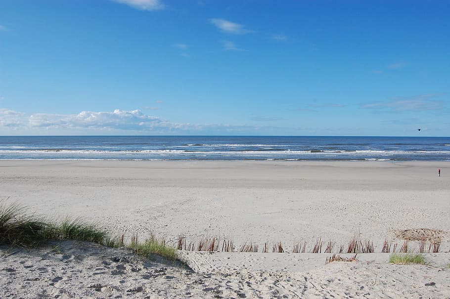 Ameland, Sea, Beach, Beach, Sand, Netherlands, water, by the sea, HD wallpaper