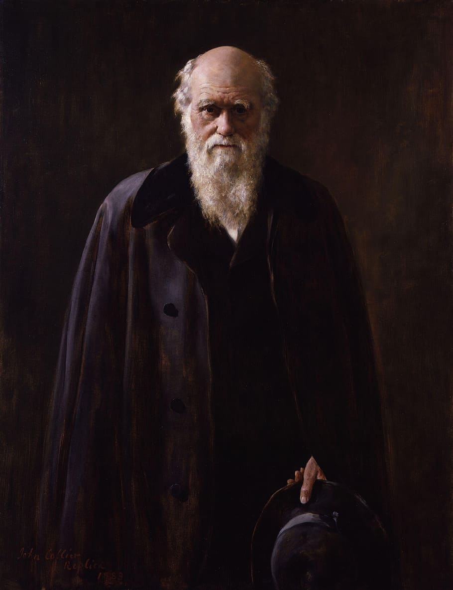 bearded man wearing blue coat, charles robert darwin, darwinism