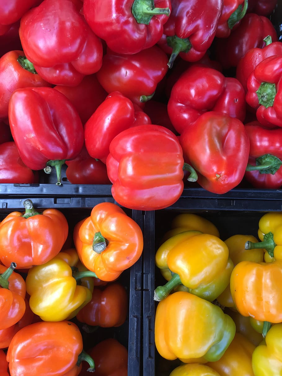Shiny, ripe tomatoes, pepper, bell pepper, red, yellow, orange HD wallpaper