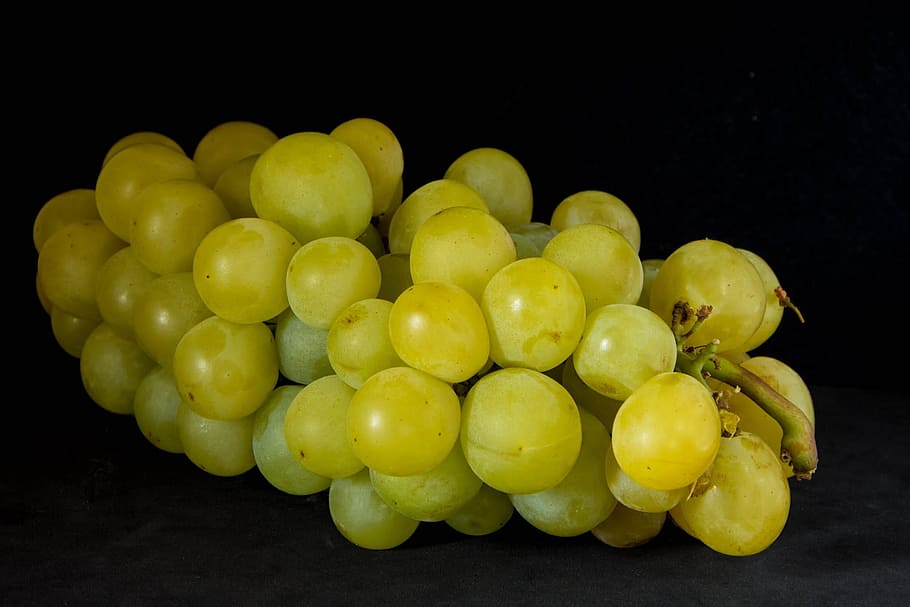 grape, fruit, vine, cluster, nature, vineyard, power, food HD wallpaper