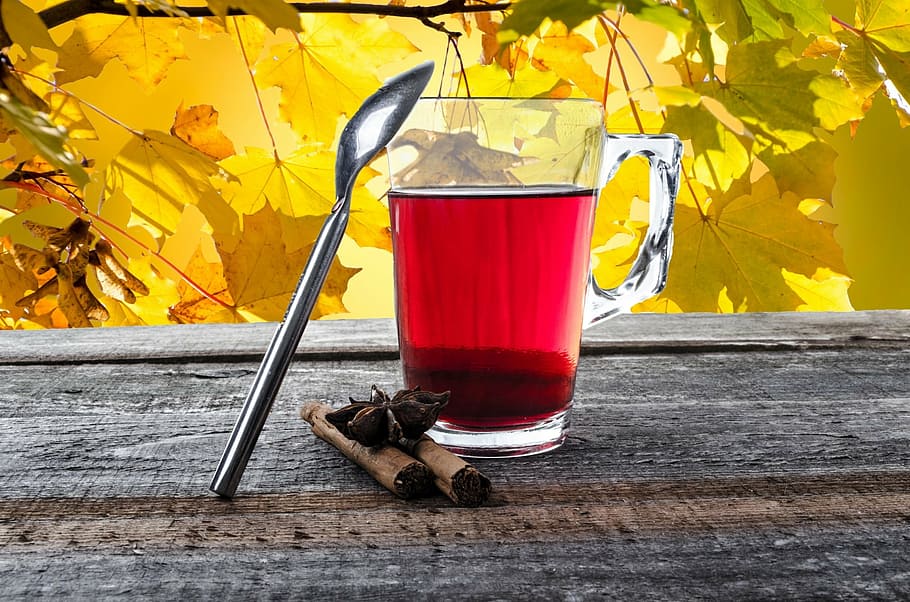 drinking glass filled with red tea, cup, teabag, mug, autumn HD wallpaper