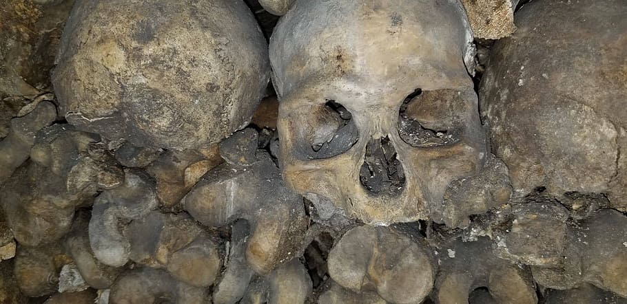 paris, dead, cemetery, graveyard, burial, underground, skeleton HD wallpaper