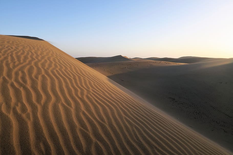 sand, dune, desert, sahara, solitude, sand dune, landscape HD wallpaper