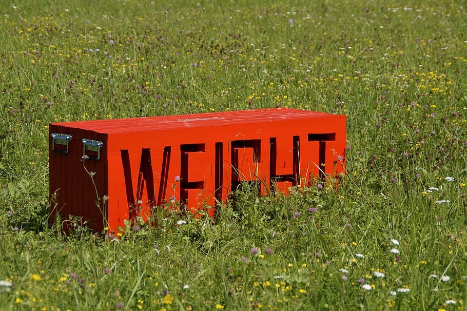 weight, hard, charge, box, load, bear, transport, art, artwork HD wallpaper