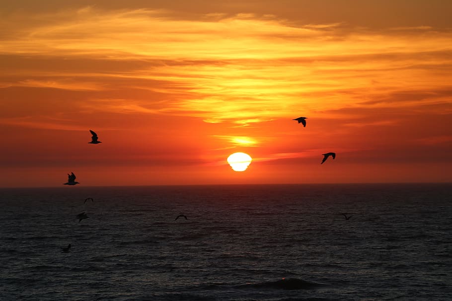 sunset, porto, landscape, sky, sea, water, beauty in nature HD wallpaper