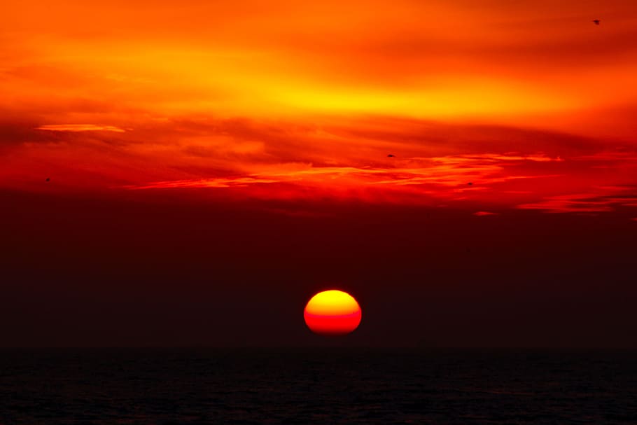 Sunset, Dark, Sky, orange color, beauty in nature, dramatic sky HD wallpaper