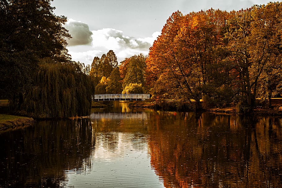 Lost in Nature, white bridge over river between trees during daytime photo HD wallpaper