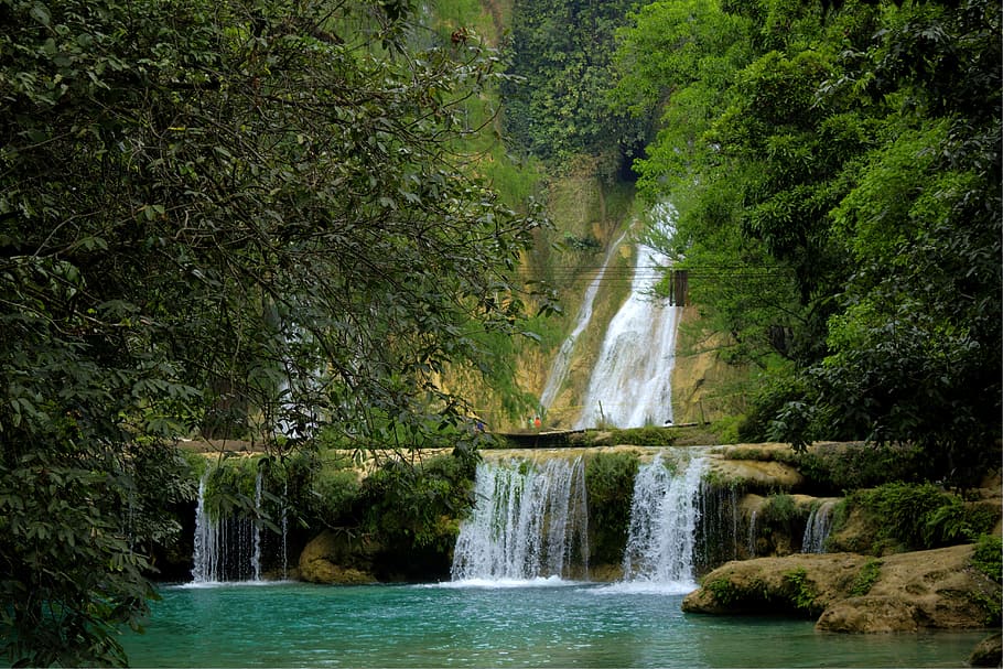 Water, Waterfall, place, flowing water, forest, long exposure HD wallpaper