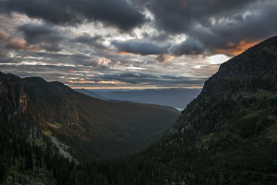 tree covered valley during golden hour, landscape, mountains HD wallpaper