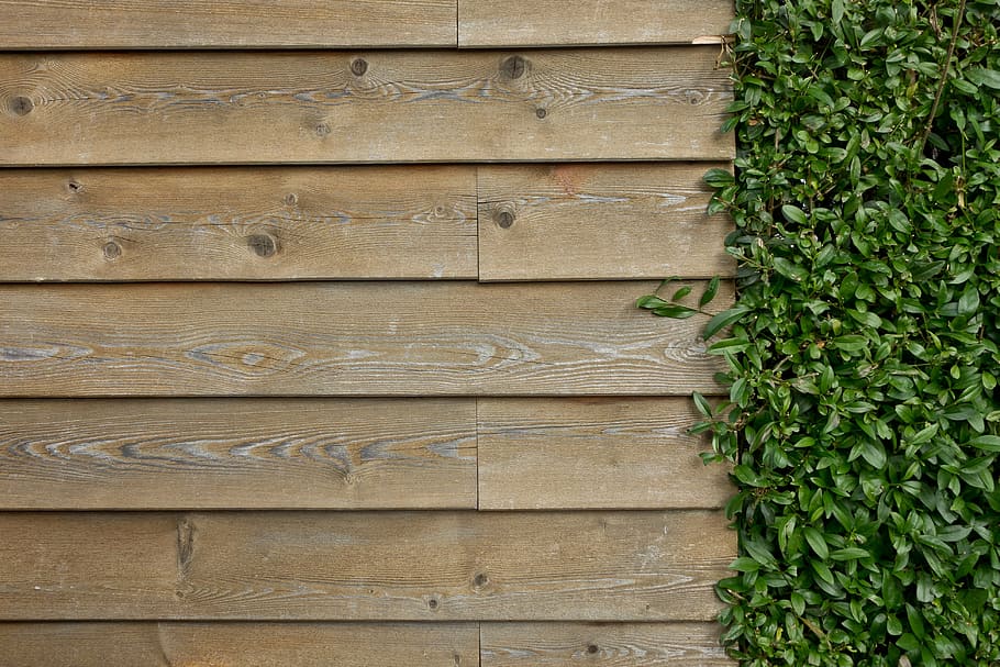 high-angle photo of green grass and brown wooden panel, wall