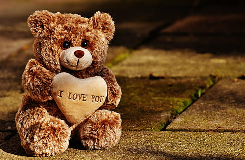 brown bear plush toy on concrete floor, love, teddy, bears HD wallpaper