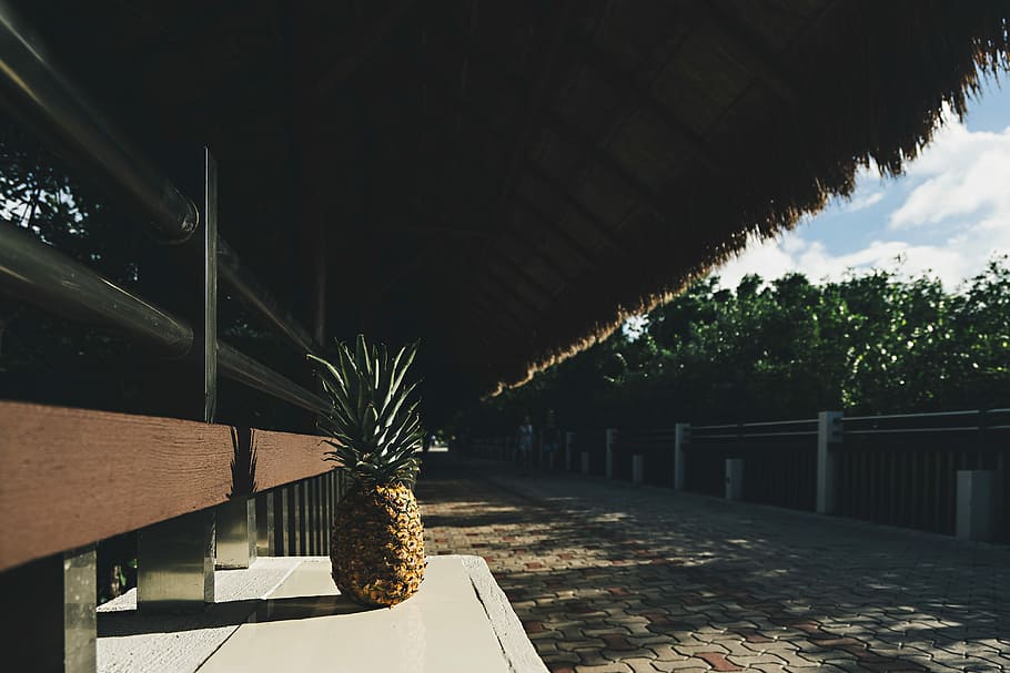 yellow and green pineapple fruit on white wooden board, ripe pineapple on white panel under brown hut photo HD wallpaper