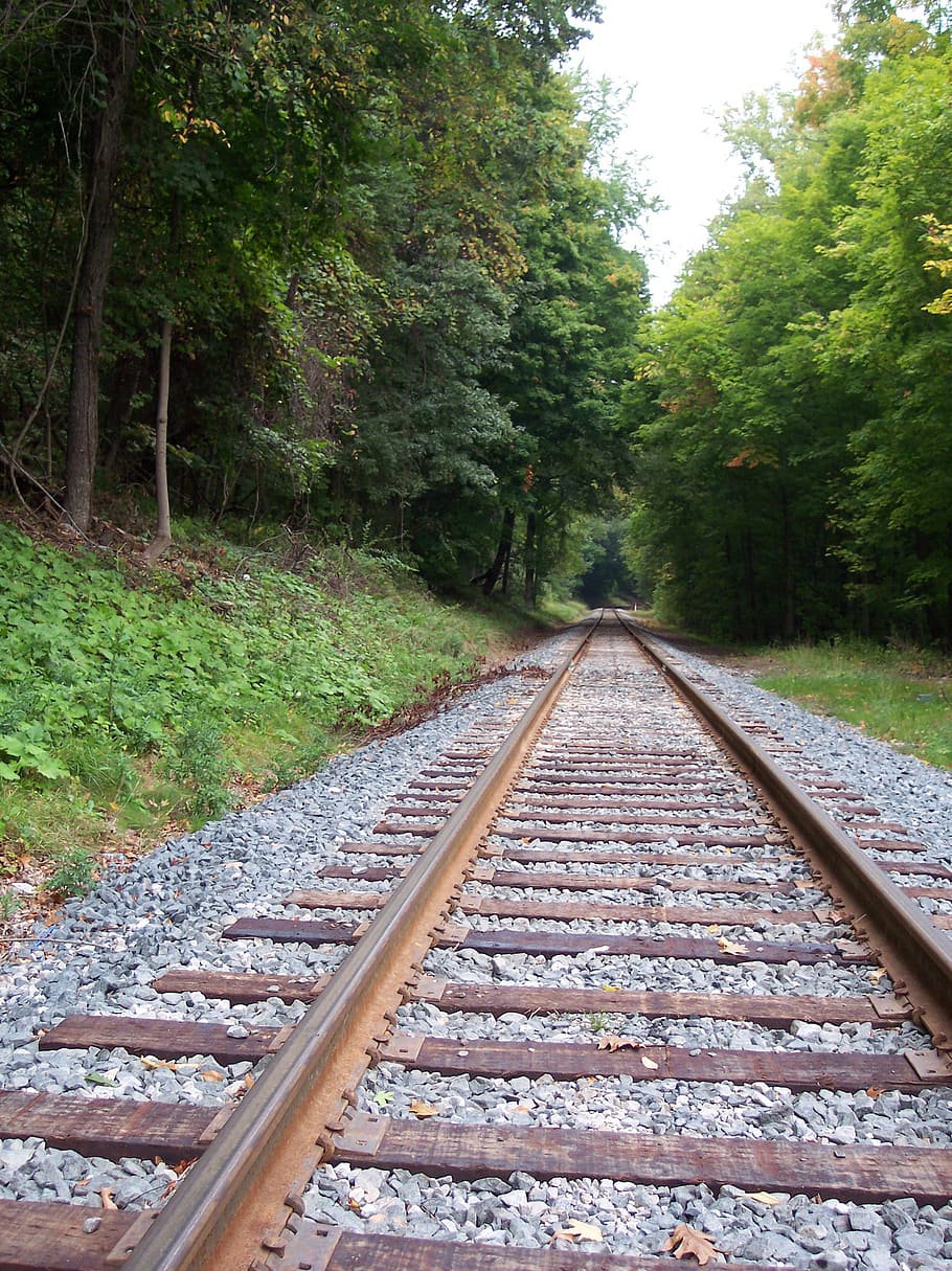 tracks, railroad, locomotive, train, railway, transportation