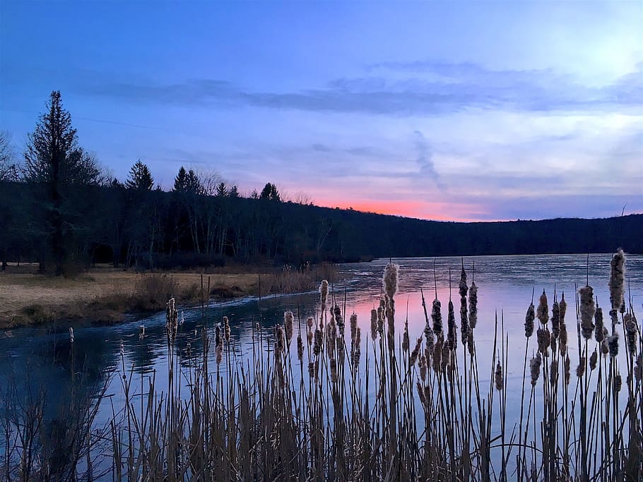 Ice, Sunset, Lake, Winter, Sun, Light, landscape, cold, season HD wallpaper