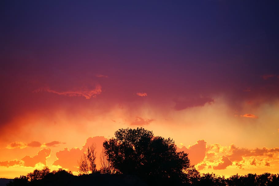 Sunset, Contrast, Tree, Colors, Fade, silhouette, dramatic sky HD wallpaper