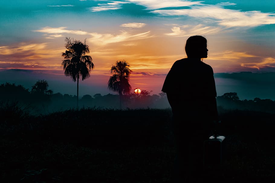 silhouette photography of person standing far from trees during golden hour, silhouette photo of human near coconut trees HD wallpaper