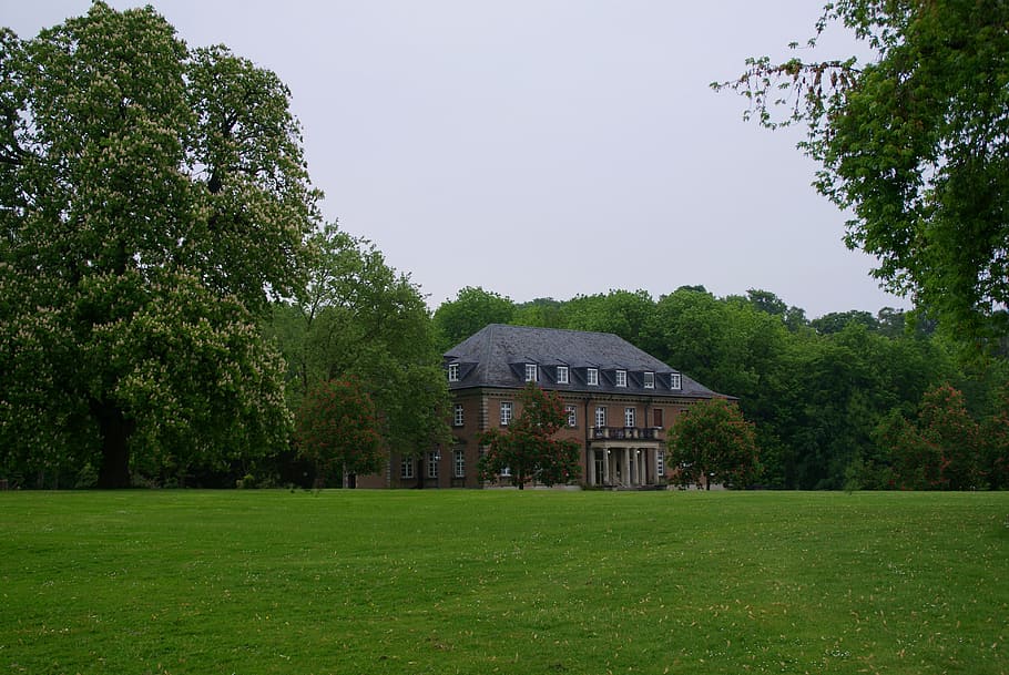 villa, park, rain, rush, hazy, trees, forest, landscape, ruhr area HD wallpaper