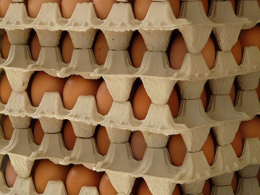 egg, egg box, food, food and drink, full frame, no people, in a row HD wallpaper