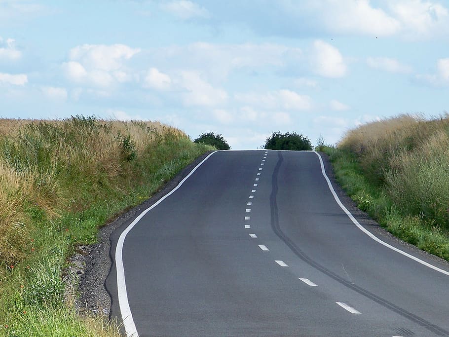 path, road, landscape, summer, asphalt, travel, distance, plant HD wallpaper