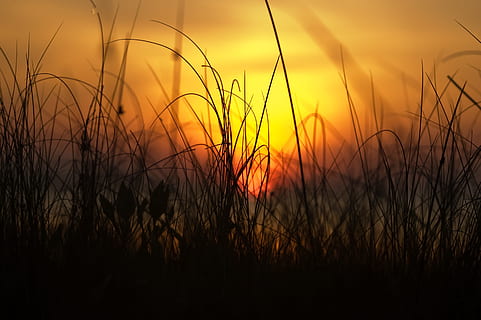 light, sea, dawn, landscape, bright, dusk, environment, evening HD wallpaper