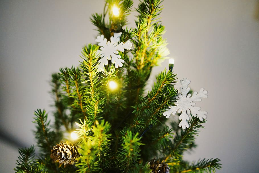 shallow focus photography of green Christmas tree with white snowflakes decor, lighted string lights HD wallpaper
