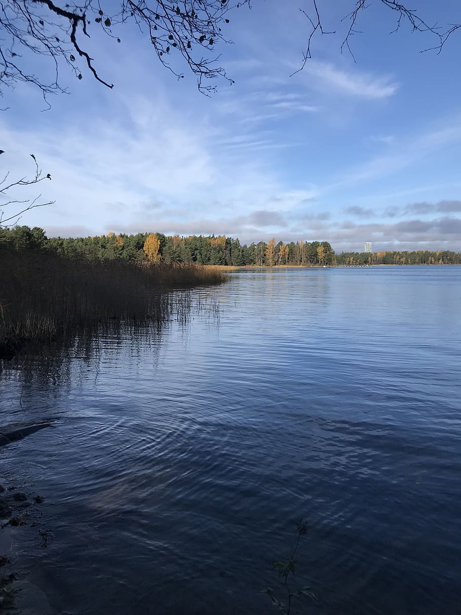 october, sun, blue, water, tree, sky, tranquil scene, tranquility HD wallpaper