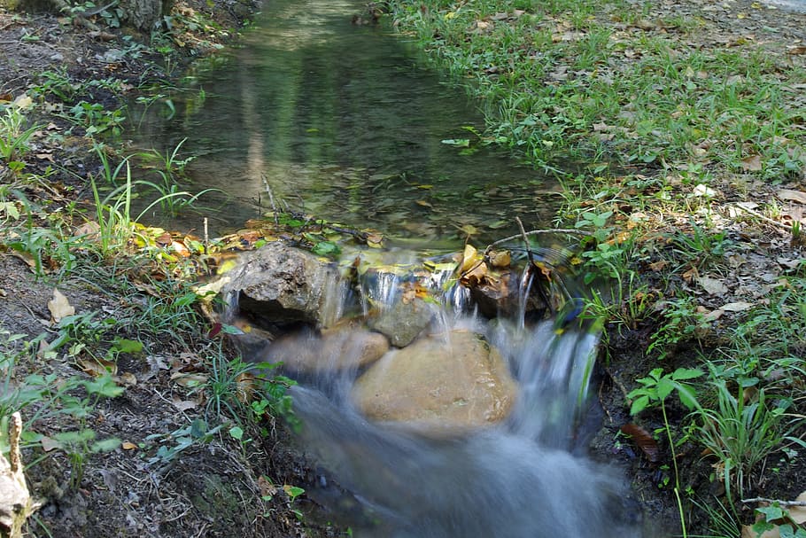 stream, water, forest, orsomarso, calabria, into the woods