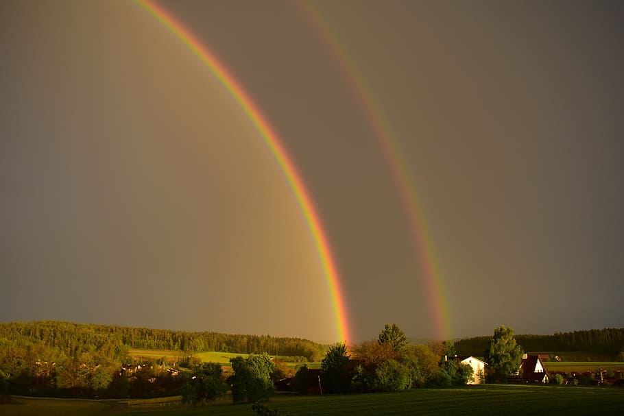 five rainbows