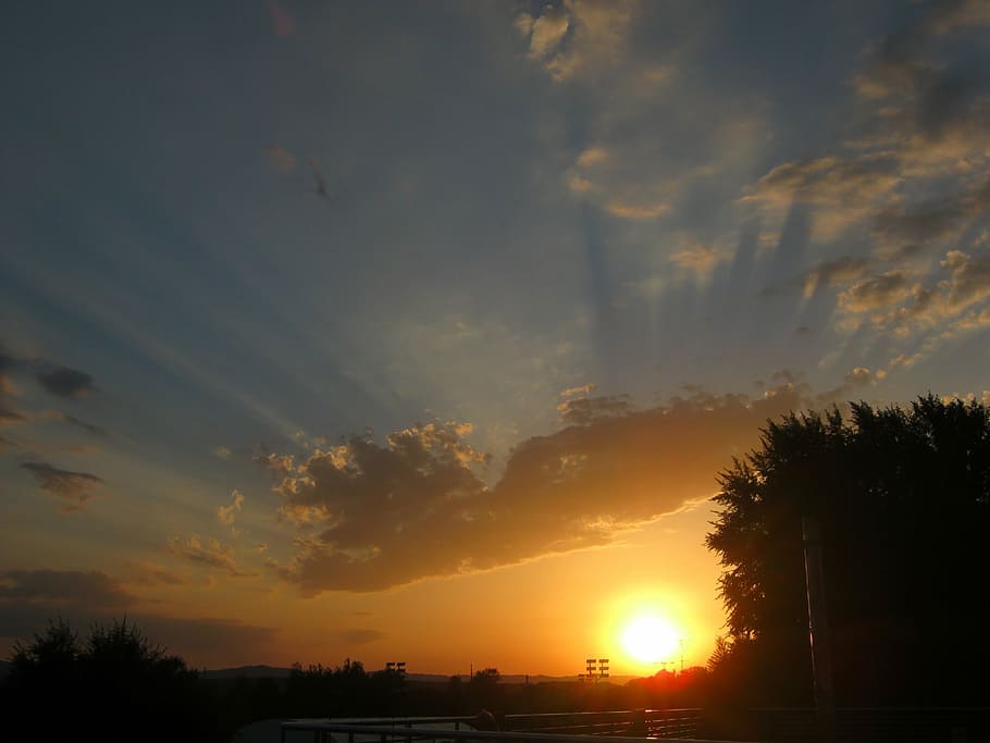 trees, forest, nature, sunset, sky, clouds, romantic, beauty HD wallpaper