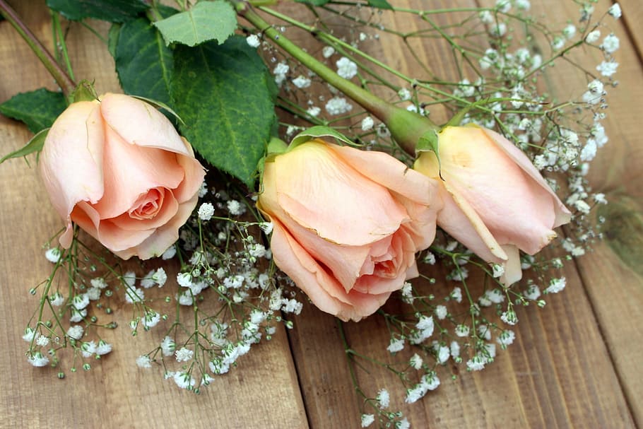 three beige Roses on brown wooden surface, flowers, bouquet HD wallpaper