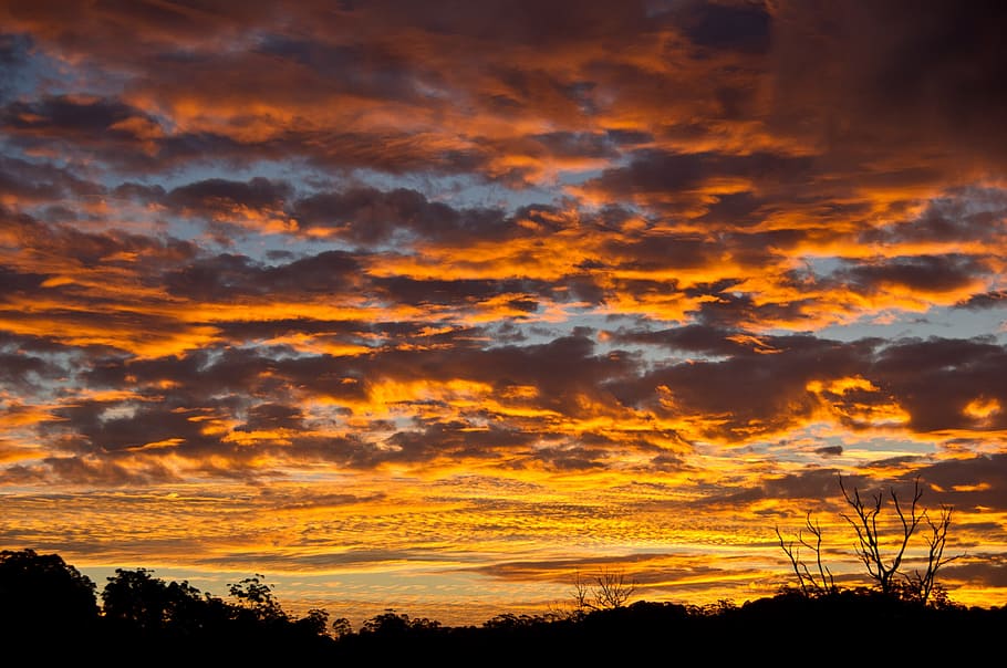 sunset, sky, pink, orange, blue, clouds, layered, horizon, trees HD wallpaper