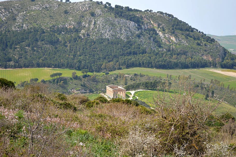 segesta, sicily, landscape, temple, plant, tree, scenics - nature HD wallpaper
