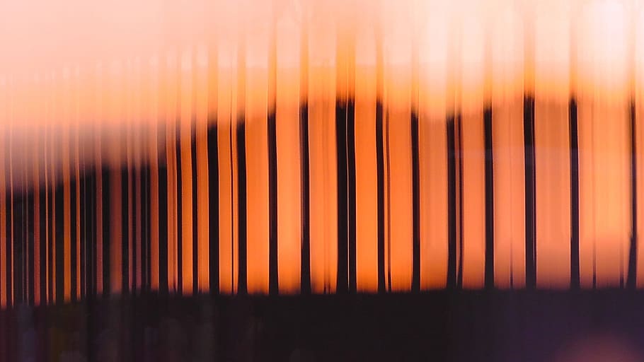 silhouette photo, schemes, outline, light, shadow, sunset, twilight HD wallpaper