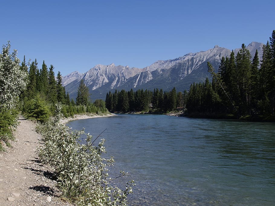 Bow River, Canmore, Alberta, Canada, blue, glacier water, landscape, HD wallpaper