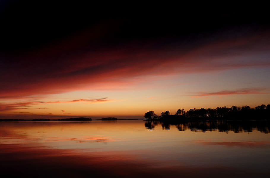 silhouette of trees, silhouette of trees on body of water during golden hour HD wallpaper