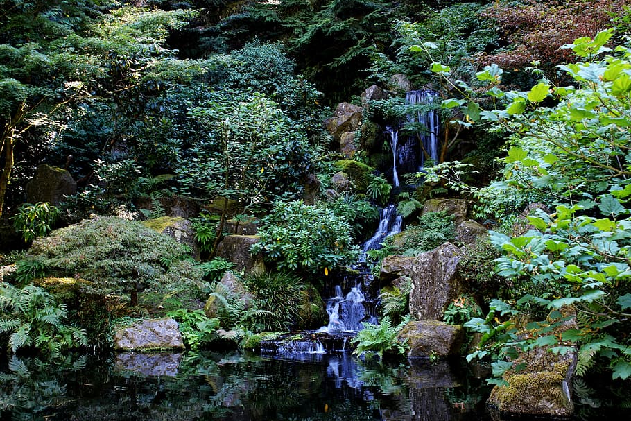 timelapse photography of flowing waterfall, stream, zen, landscape HD wallpaper