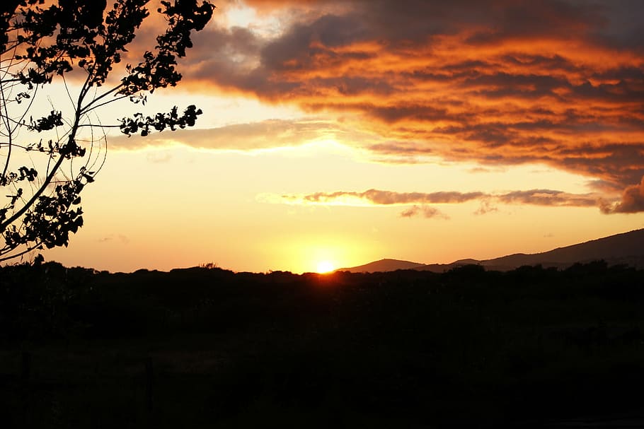 sunset, romantic, mood, roma table, sky, beauty in nature, silhouette HD wallpaper
