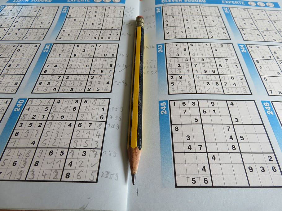 leisure, puzzles, sudoku, pencil, rates, difficult, pay, combination