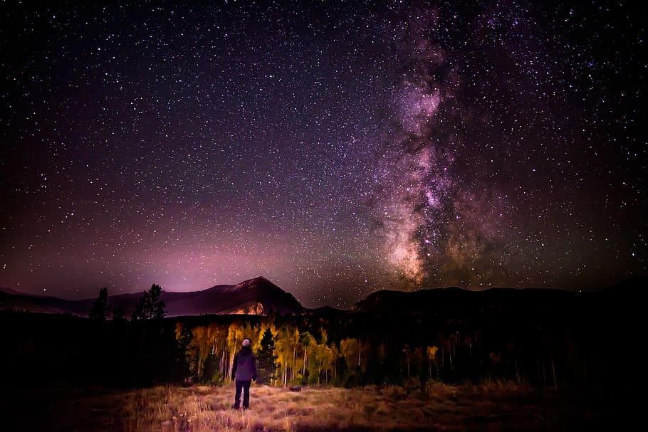 person standing near trees under starry sky, purple and white sky photography HD wallpaper