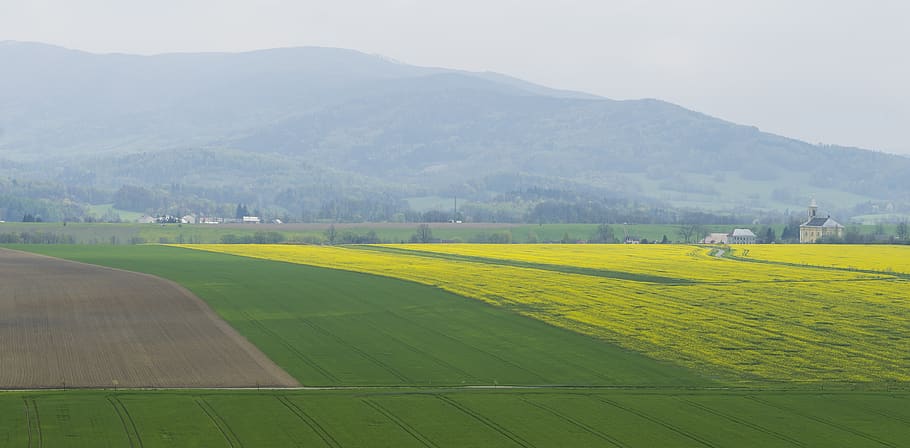 mountains, landscape, array, fields, green, environment, agriculture HD wallpaper