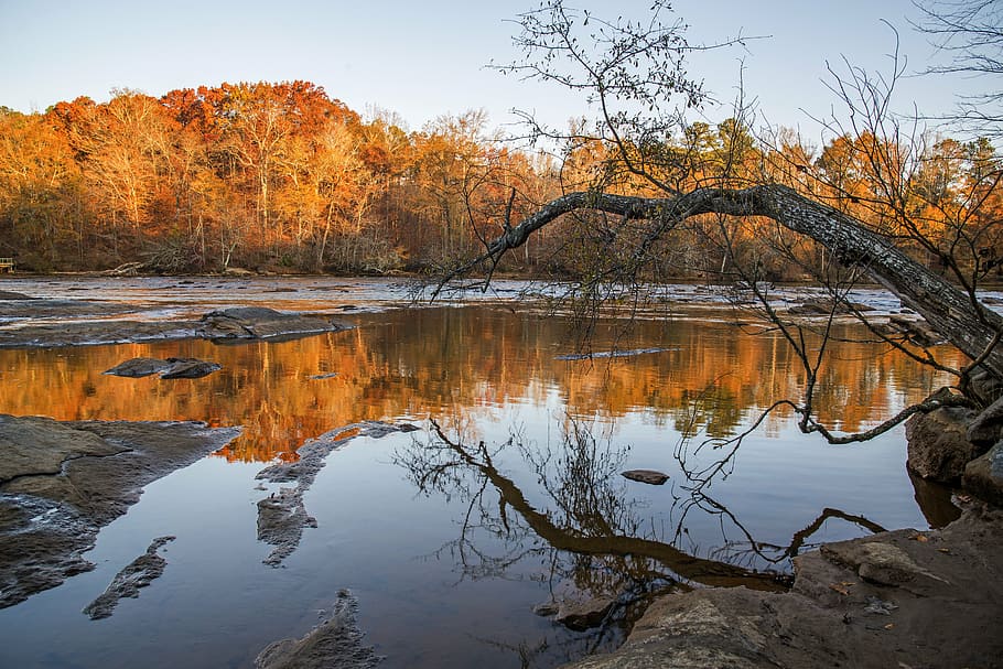 river, water, stream, landscape, environment, scenery, rock HD wallpaper