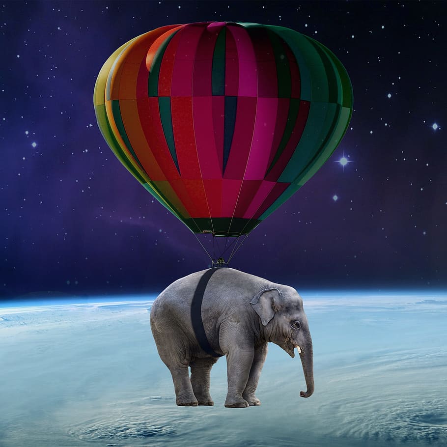 gray elephant with purple hot air balloon on top of earth surface, HD wallpaper