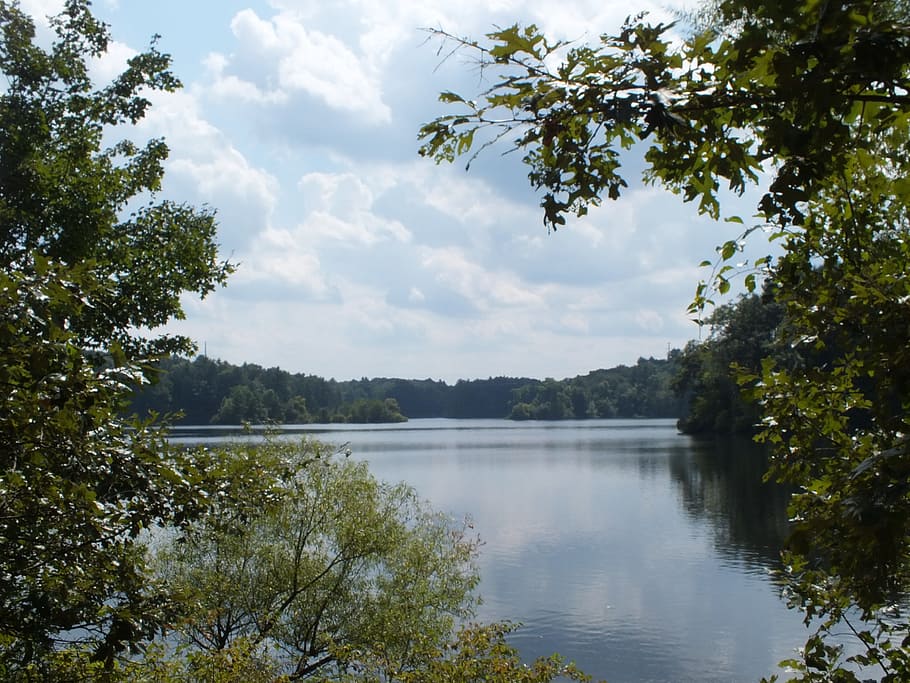lake, water, tree, landscape, natural, bushes, clouds, sky HD wallpaper